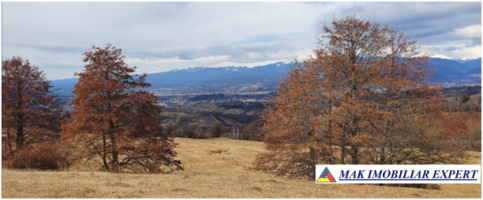 teren-2257-ha-comasat-campulung-matau-2