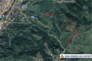 teren-2257-ha-comasat-campulung-matau-7