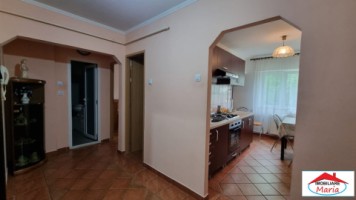 apartament-3-camere-etajul-1-in-carpati-2-id-22880-1