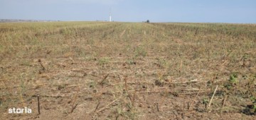 teren-intravilan-agricol-de-vanzare-10000mp-tuzla-15euro-mp-2