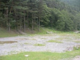rezervat-sept-2025-teren-1000-mp-fond-forestier-baraj-mic-leresti-arges-1
