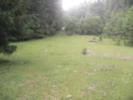 rezervat-sept-2025-teren-1000-mp-fond-forestier-baraj-mic-leresti-arges-4