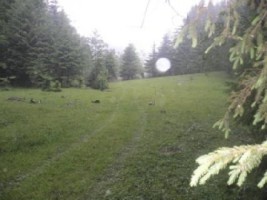 rezervat-sept-2025-teren-1000-mp-fond-forestier-baraj-mic-leresti-arges-6
