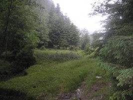 rezervat-sept-2025-teren-1000-mp-fond-forestier-baraj-mic-leresti-arges-8