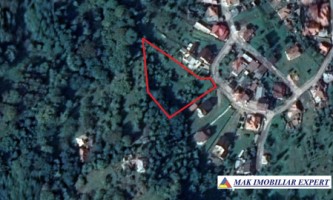 teren-intravilan-4000-mp-in-bughea-de-jos-arges-17