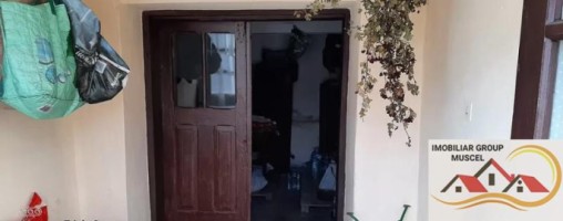 casa-3-camere-teren-5000-mp-in-rucar-arges-pret-80000-euro-6