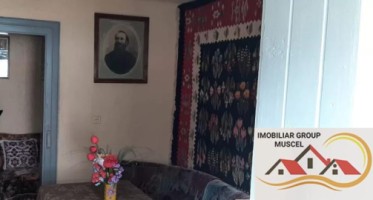casa-3-camere-teren-5000-mp-in-rucar-arges-pret-80000-euro-9