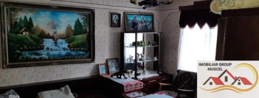 casa-3-camere-teren-5000-mp-in-rucar-arges-pret-80000-euro-13