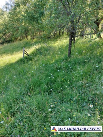 teren-7350-mp-extravilan-de-vanzare-in-campulung-muscel-arges-1