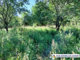 teren-7350-mp-extravilan-de-vanzare-in-campulung-muscel-arges
