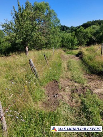 teren-7350-mp-extravilan-de-vanzare-in-campulung-muscel-arges-4