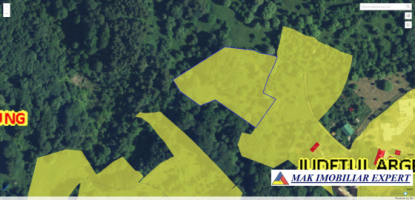 teren-7350-mp-extravilan-de-vanzare-in-campulung-muscel-arges-8