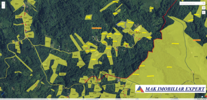 teren-7350-mp-extravilan-de-vanzare-in-campulung-muscel-arges-10