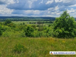 teren-1107-mp-extravilan-de-vanzare-in-balilesti-arges-potrivit-pentru-investitii-agricole-1
