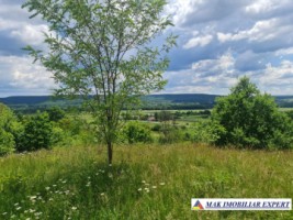 teren-1107-mp-extravilan-de-vanzare-in-balilesti-arges-potrivit-pentru-investitii-agricole-2