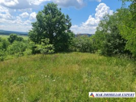 teren-1107-mp-extravilan-de-vanzare-in-balilesti-arges-potrivit-pentru-investitii-agricole-3