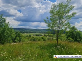 teren-1107-mp-extravilan-de-vanzare-in-balilesti-arges-potrivit-pentru-investitii-agricole-4