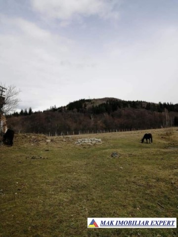 teren-4565-mp-intravilan-de-vanzare-in-bughea-de-sus-arges