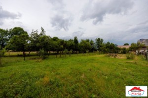 casa-traditionala-in-sapanta-maramures-id-22886-3