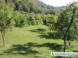 casa-musceleana-3-camere-teren-142-ha-bughea-de-jos-15