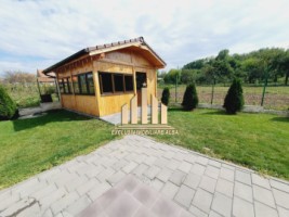 casa-individuala-de-vanzare-ultrafinisata-14
