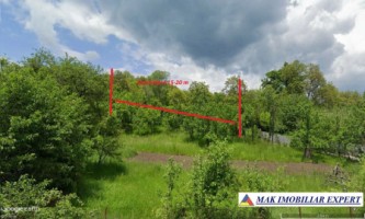 teren-livada-de-vanzare-1-ha-extravilan-in-marcus-campulung-muscel-arges-ideal-pentru-agricultura-1