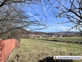 vila-7-camere-teren-4100-mp-de-vanzare-in-apa-sarata-campulung-muscel-arges-ideala-pentru-locuinta-de-familie-sau-afaceri-5