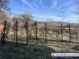 vila-7-camere-teren-4100-mp-de-vanzare-in-apa-sarata-campulung-muscel-arges-ideala-pentru-locuinta-de-familie-sau-afaceri-4