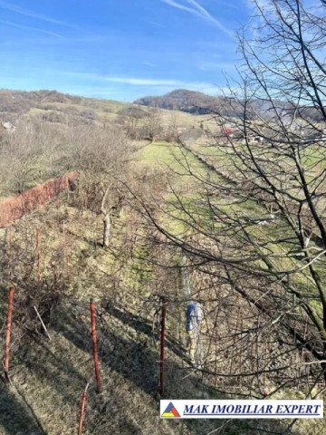 vila-7-camere-teren-4100-mp-de-vanzare-in-apa-sarata-campulung-muscel-arges-ideala-pentru-locuinta-de-familie-sau-afaceri-6