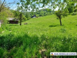teren-intravilan-2600-mp-de-vanzare-rucar-arges-1