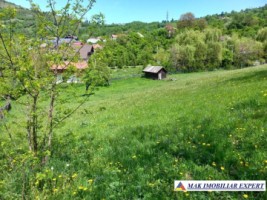 teren-intravilan-2600-mp-de-vanzare-rucar-arges-2