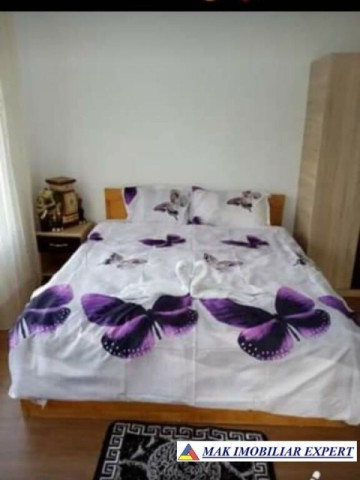 cabana-5-camere-teren-7000-mp-berevoiesti-5