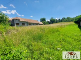 casa-cu-4000-mp-teren-de-vanzare-in-ciugud-hapria-1