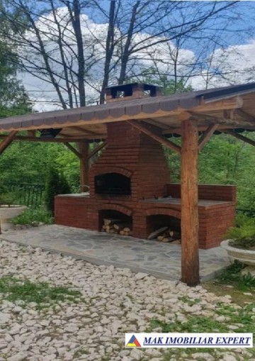 vila-10-camere-cu-teren-4800-mp-de-vanzare-in-dambovicioara-arges-15