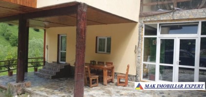vila-10-camere-cu-teren-4800-mp-de-vanzare-in-dambovicioara-arges-14