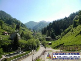 vila-10-camere-cu-teren-4800-mp-de-vanzare-in-dambovicioara-arges-16