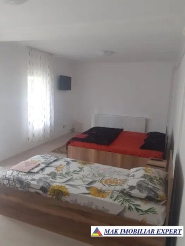 vila-10-camere-cu-teren-4800-mp-de-vanzare-in-dambovicioara-arges-11