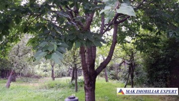 vila-7-camere-cu-teren-de-1000-mp-de-inchiriat-in-centru-campulung-muscel-arges-ideala-pentru-locuinta-rezidentiala-sau-pensiune-46