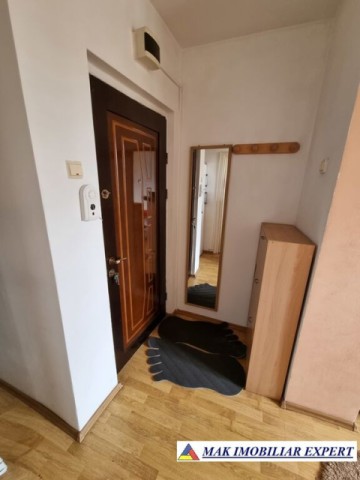 de-vanzare-inchiriere-apartament-2-camere-confort-1-etaj-4-din-4-ramada-pitesti-arges-8