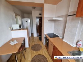 de-vanzare-inchiriere-apartament-2-camere-confort-1-etaj-4-din-4-ramada-pitesti-arges-9
