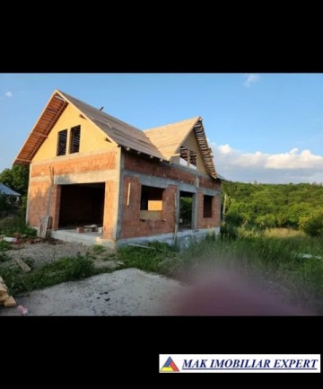 vila-la-rosu-4-camere-cu-teren-1760-mp-de-vanzare-in-apa-sarata-campulung-muscel-arges-oportunitate-pentru-personalizare-completa-6