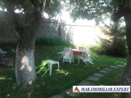 vila-de-lux-cu-7-camere-si-teren-de-4000-mp-de-vanzare-mihaesti-arges-7