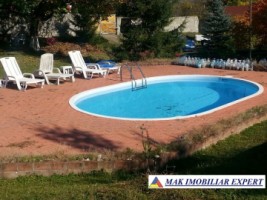 vila-de-lux-cu-7-camere-si-teren-de-4000-mp-de-vanzare-mihaesti-arges-8