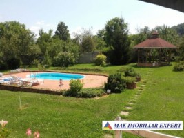 vila-de-lux-cu-7-camere-si-teren-de-4000-mp-de-vanzare-mihaesti-arges-10