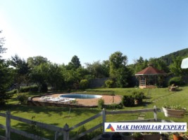 vila-de-lux-cu-7-camere-si-teren-de-4000-mp-de-vanzare-mihaesti-arges-11