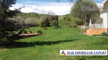 vila-de-lux-cu-7-camere-si-teren-de-4000-mp-de-vanzare-mihaesti-arges-6