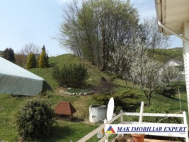 vila-de-lux-cu-7-camere-si-teren-de-4000-mp-de-vanzare-mihaesti-arges-19
