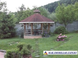 vila-de-lux-cu-7-camere-si-teren-de-4000-mp-de-vanzare-mihaesti-arges-18
