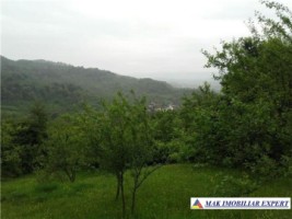 vila-de-lux-cu-7-camere-si-teren-de-4000-mp-de-vanzare-mihaesti-arges-23