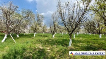 casa-batraneasca-din-lemn-de-vanzare-in-campulung-muscel-arges-teren-5000-mp-5